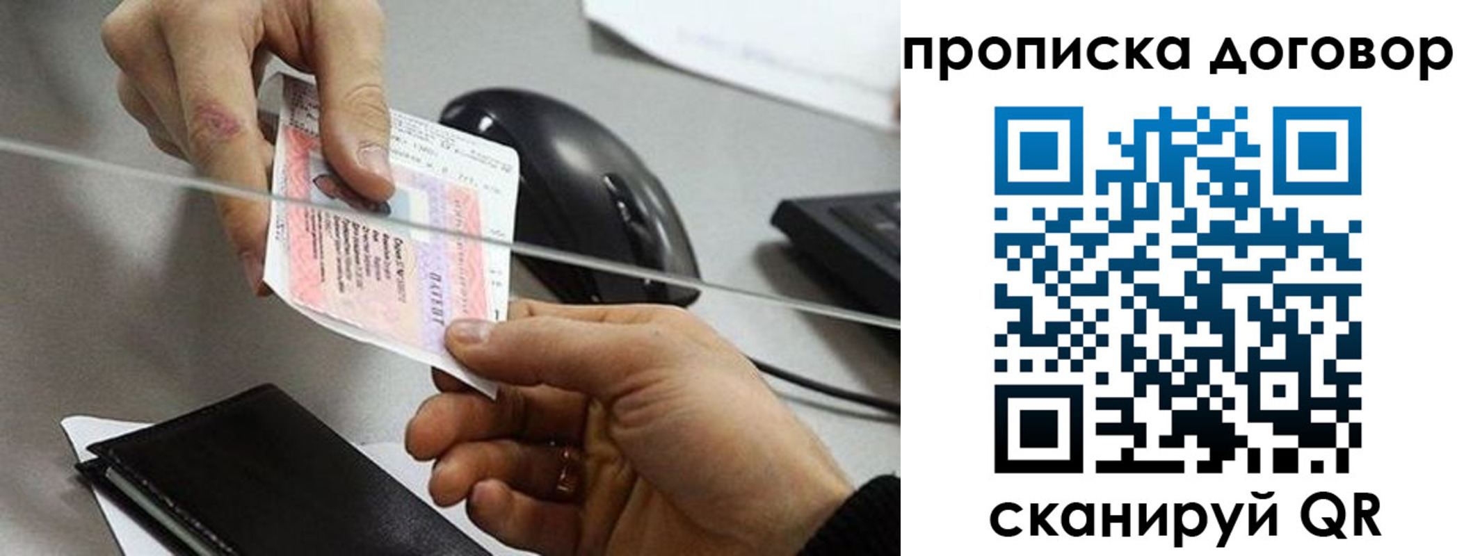 прописка поиск в Луге
